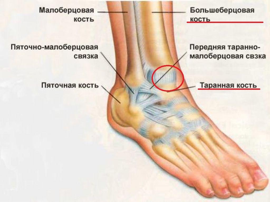 Боль ноги в голеностопном суставе
