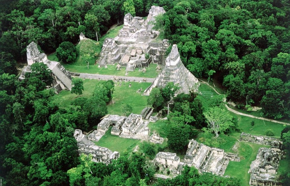 Стало известно почему майя более тысячи лет назад покинули один из  крупнейших своих городов | Пикабу