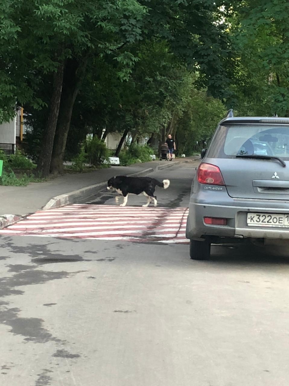 Бабки возле дома совсем обурели | Пикабу