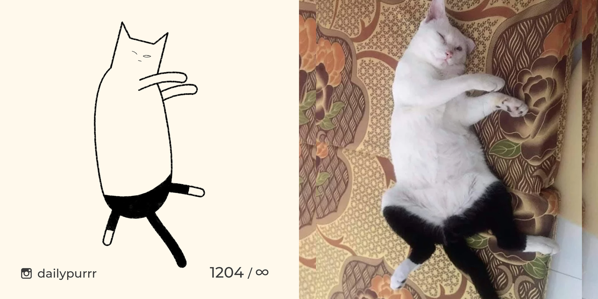 Кот в штанишках рисунок