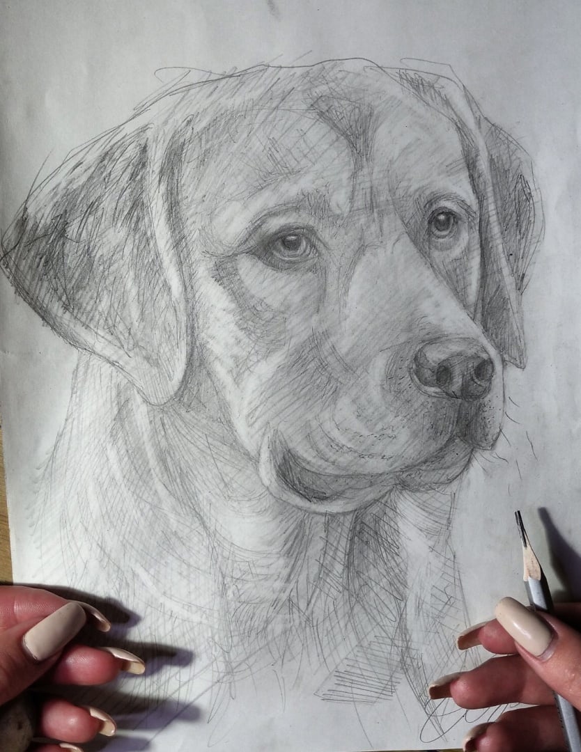 Рисунок собачки карандашом