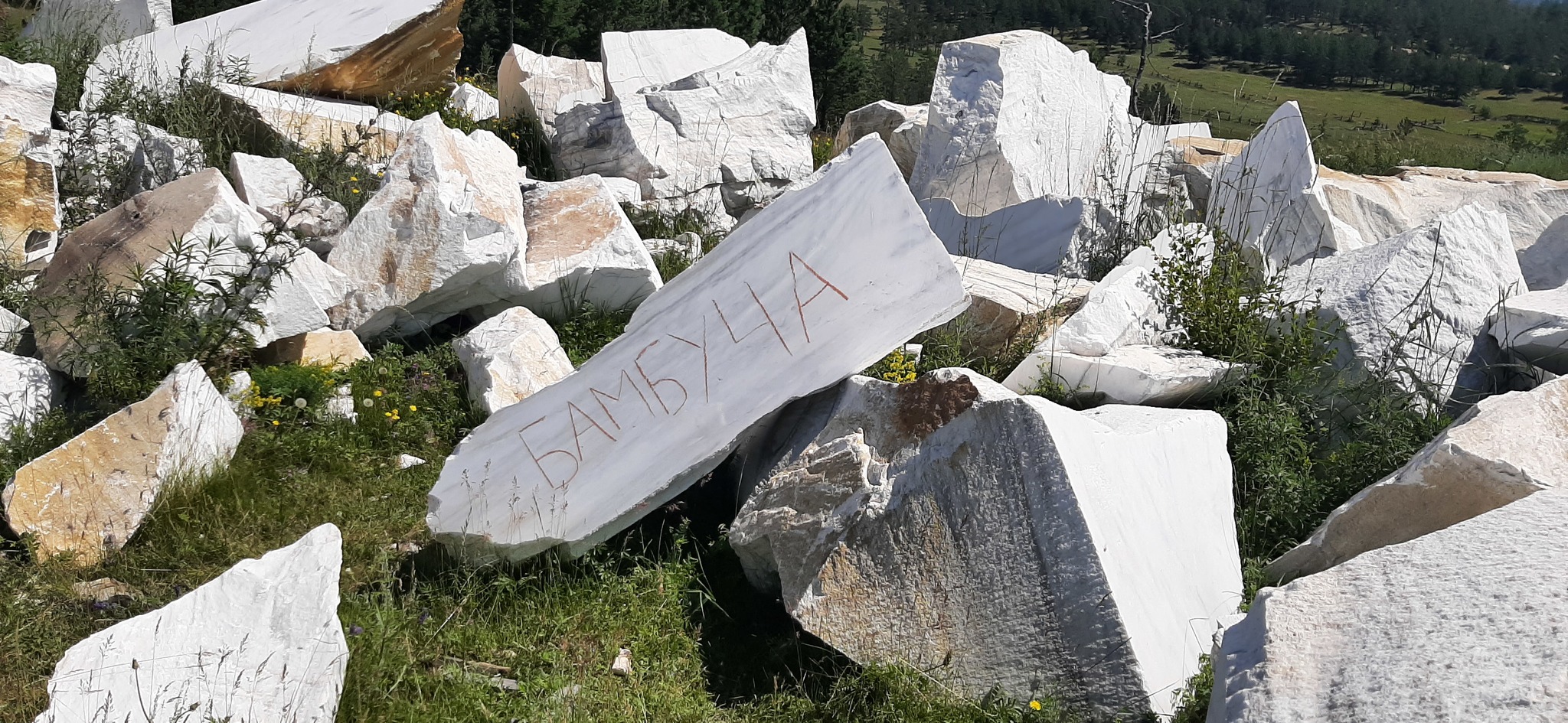 Бамбуча | Пикабу