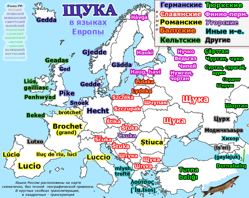 Английский язык в европе. Языки Европы. Карта языков Европы. Группы языков Европы. Россия на языках Европы.