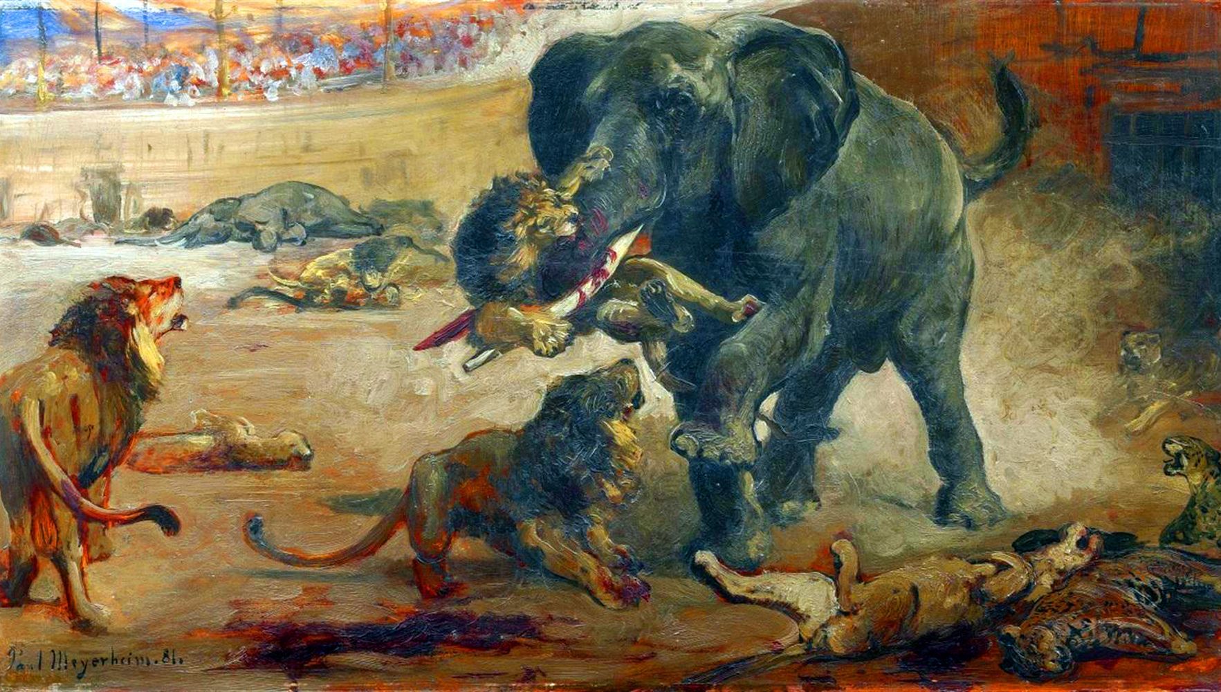 Бои гладиаторов в древнем Риме с животными