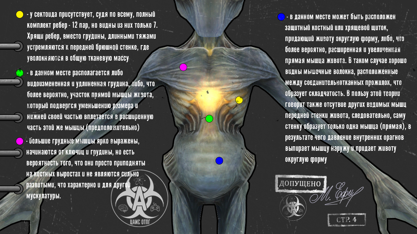 Центр Анатомии Игровых Существ - Архив 