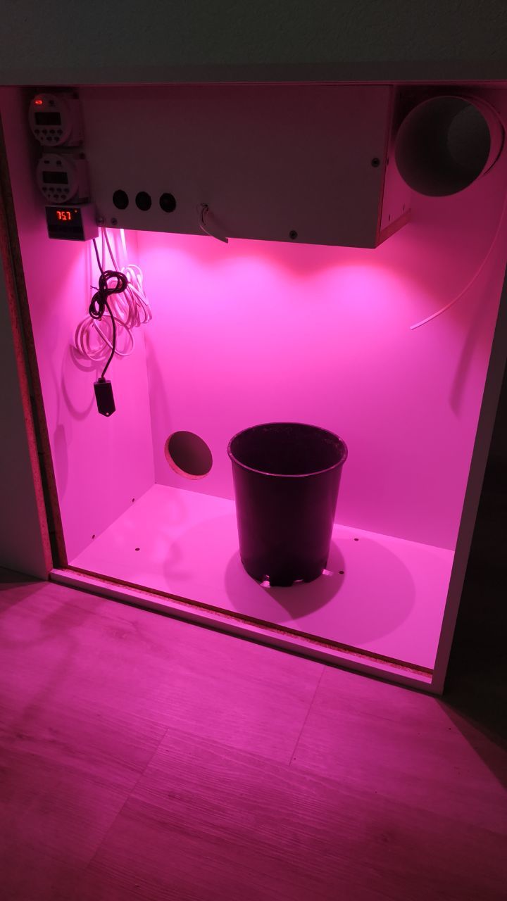 Гроубокс мини v5.2 | Пикабу