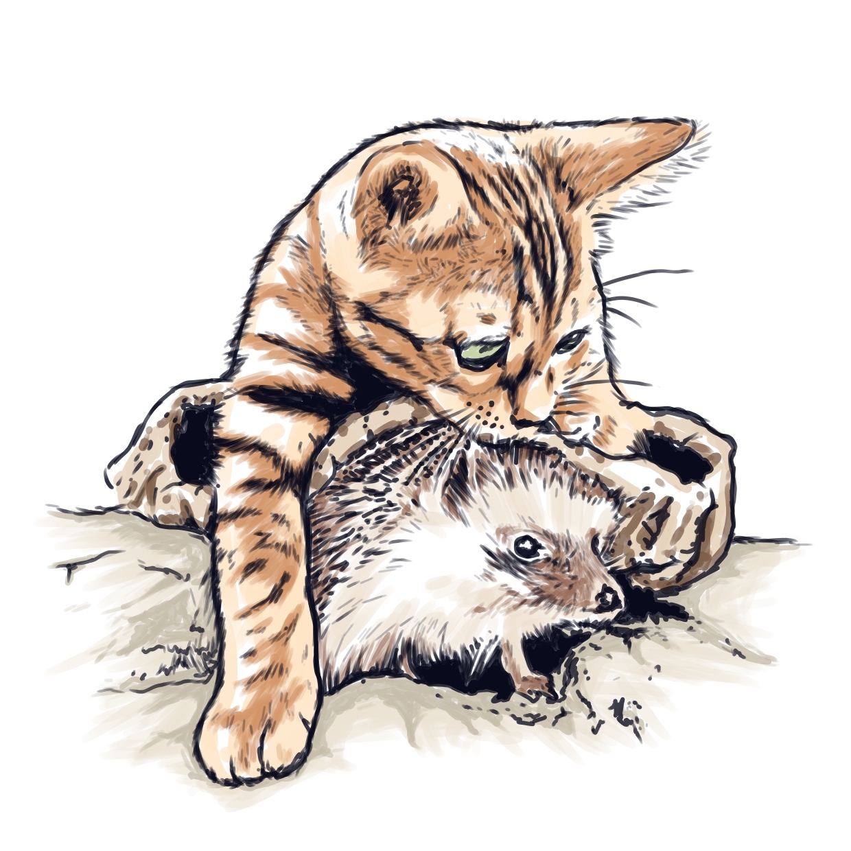 Ёж и кот | Пикабу
