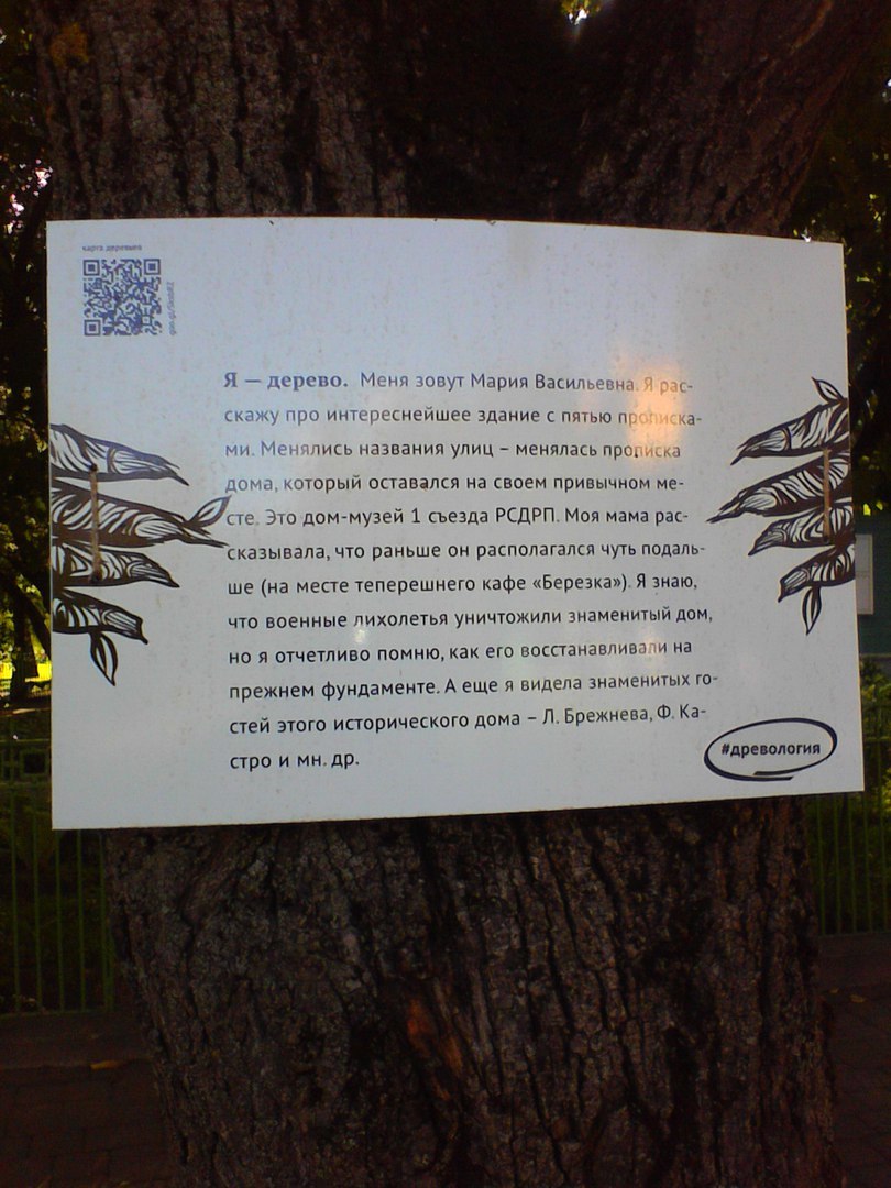 Здравствуй, дерево! | Пикабу
