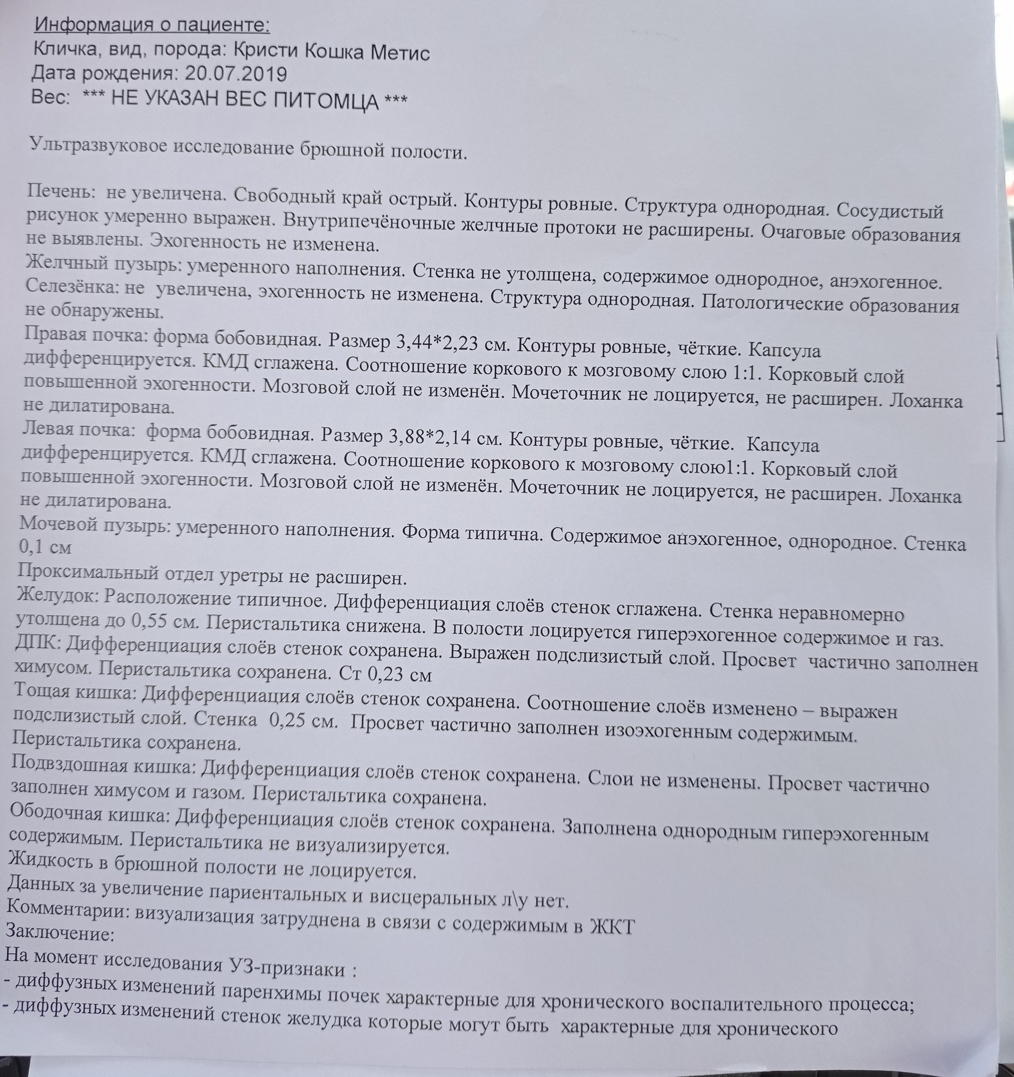 Не лоцируется что это. Не лоцируется что это