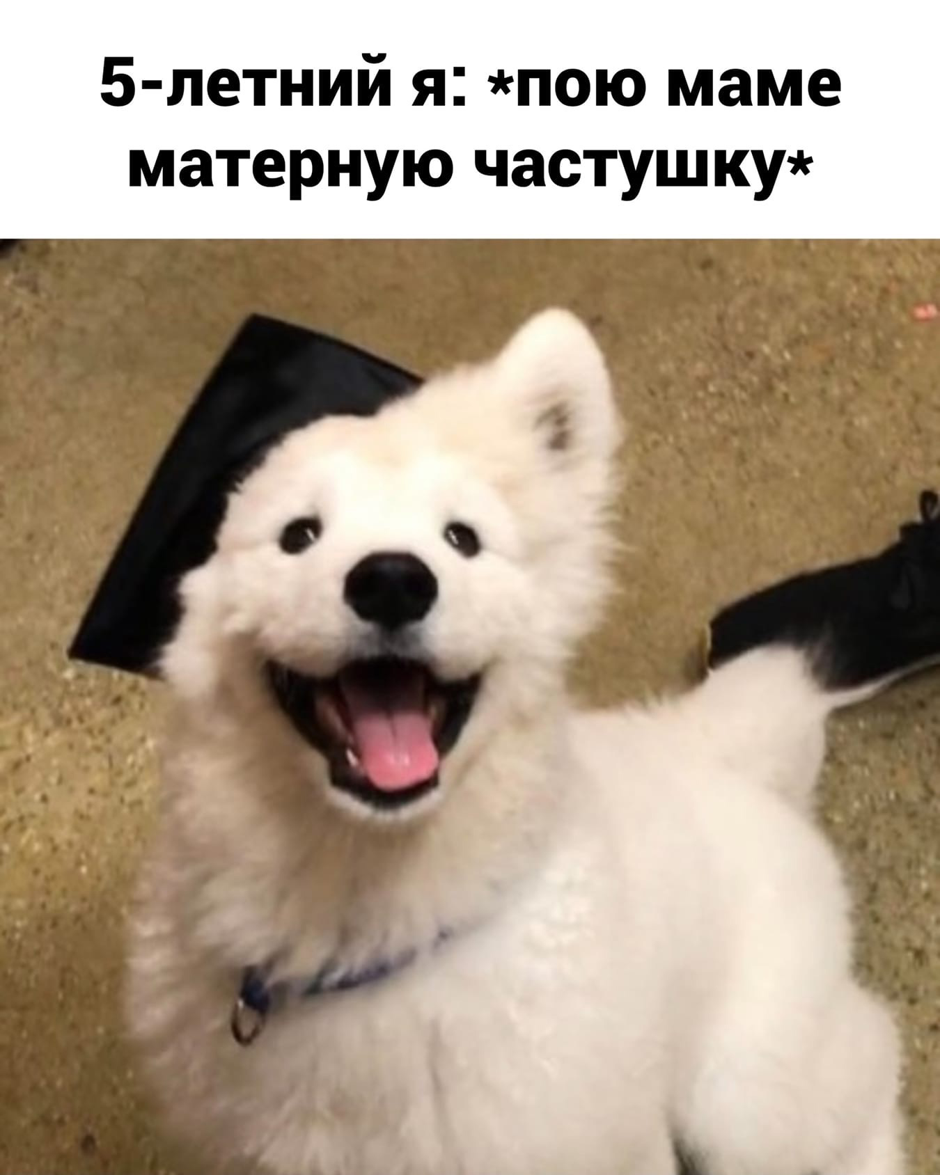 Частушка | Пикабу
