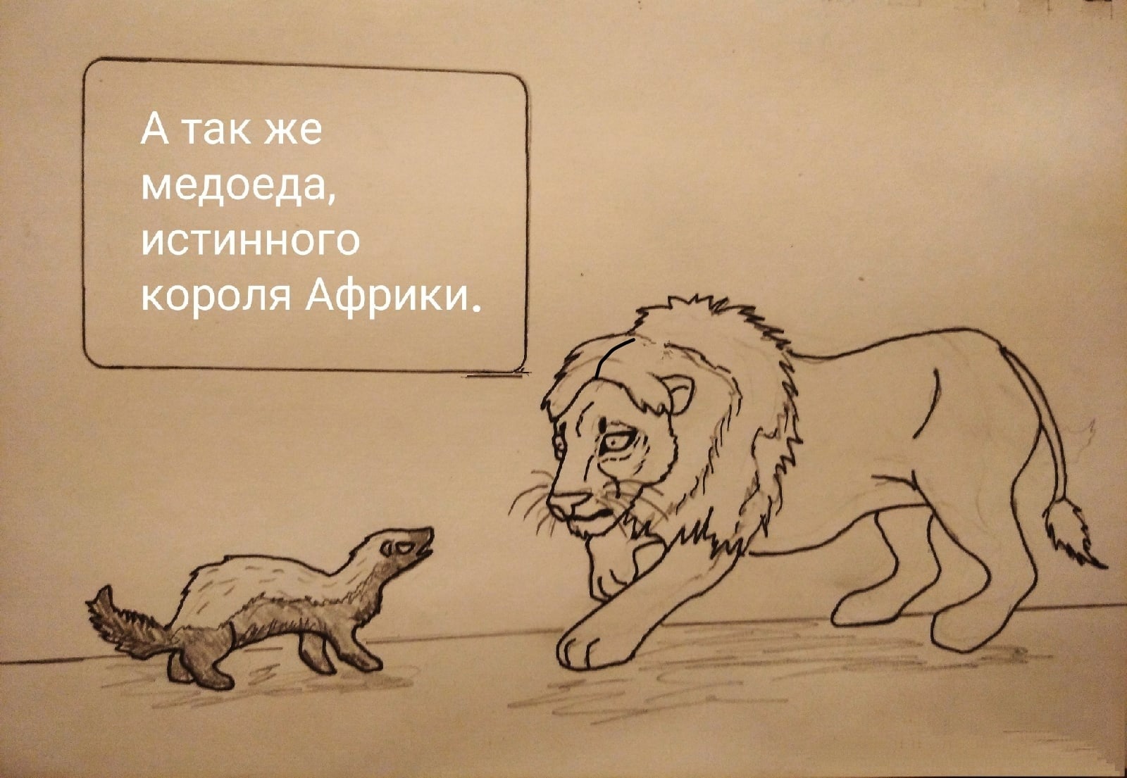 Кто такой хорёк? | Пикабу