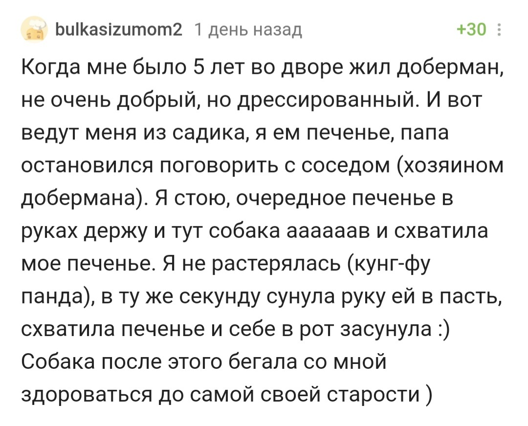 Что ж, моё уважение тебе, щенок | Пикабу