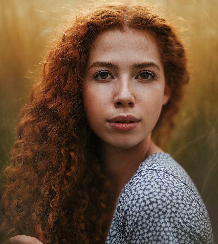 Рыжики | Пикабу