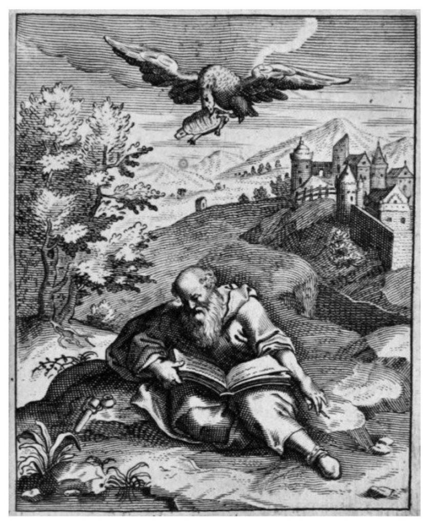 Сбылось предсказание | Пикабу