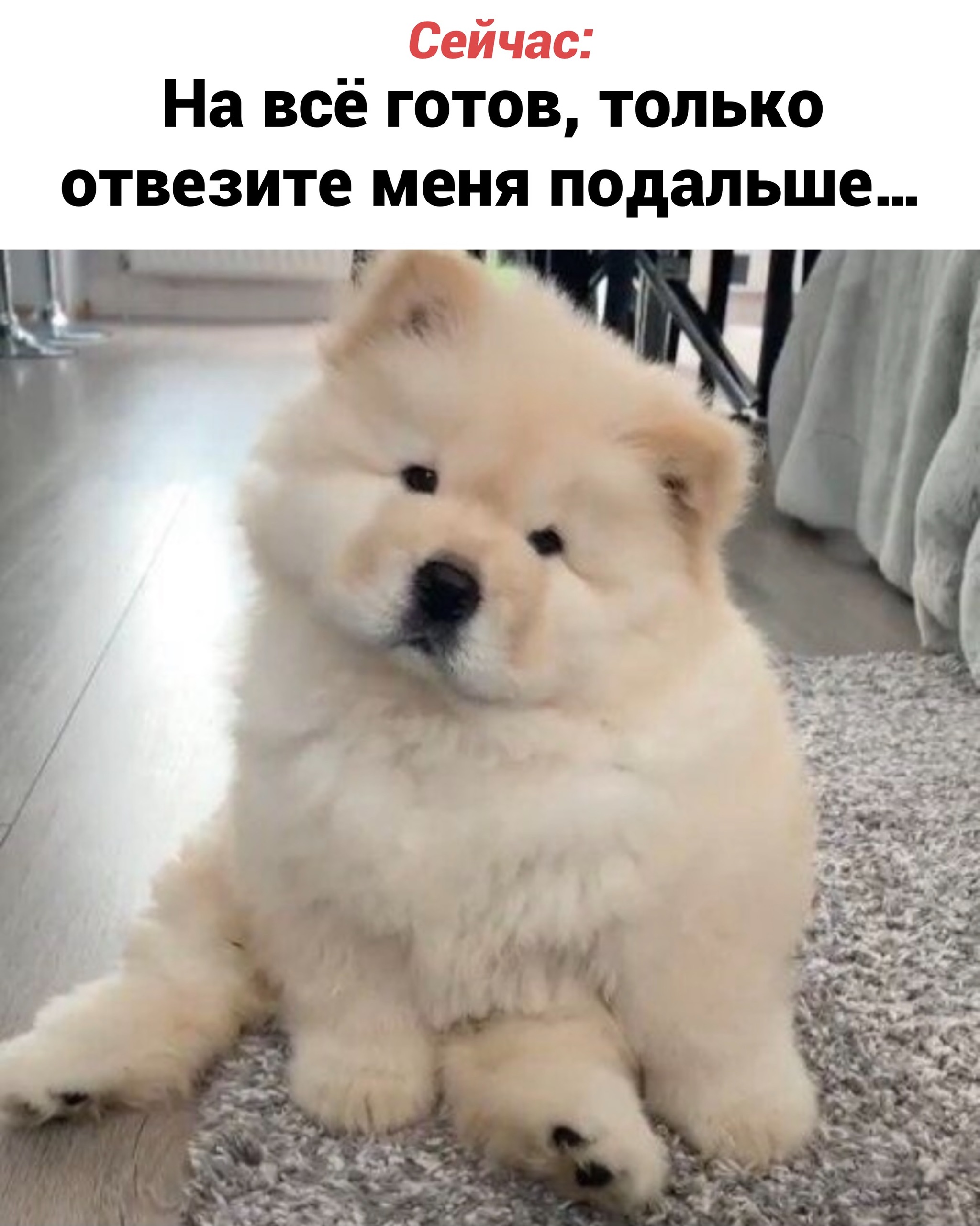 Дача | Пикабу