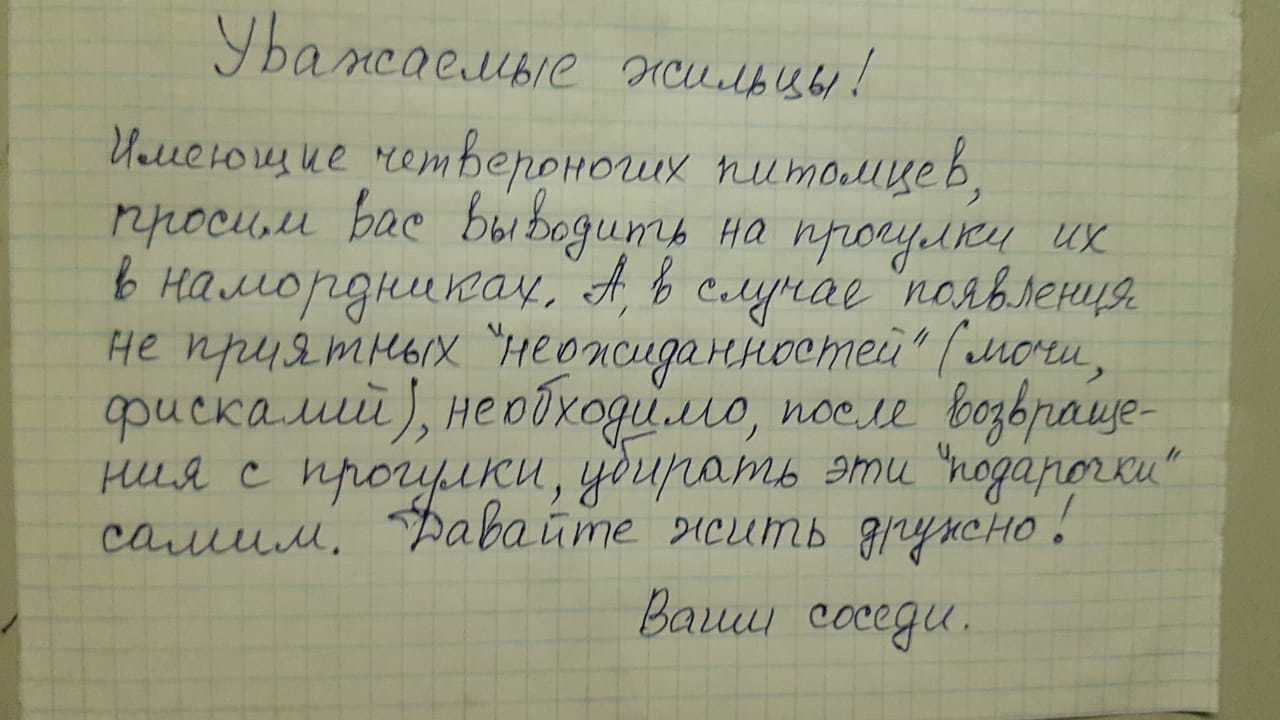 Объявление в подъезде | Пикабу