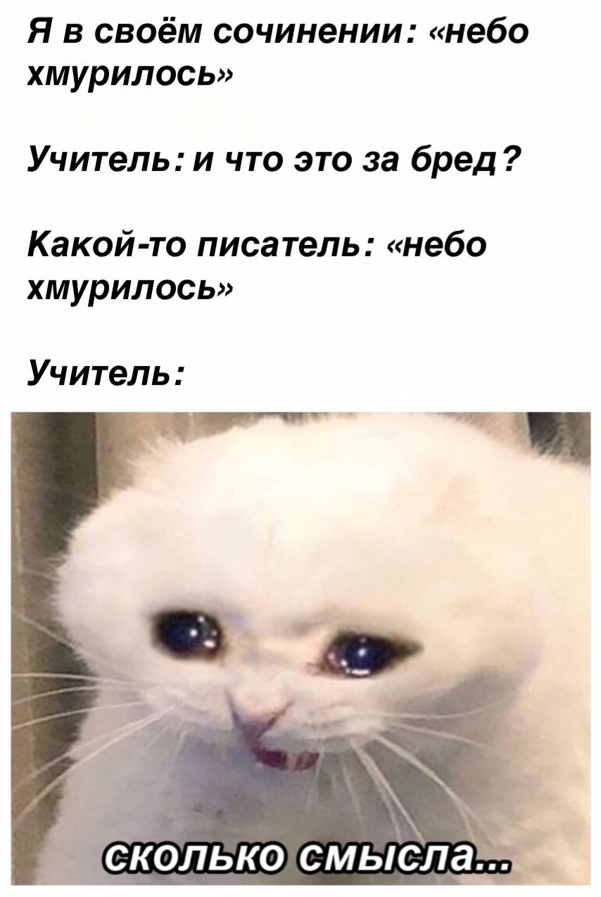 кот плачет изображений