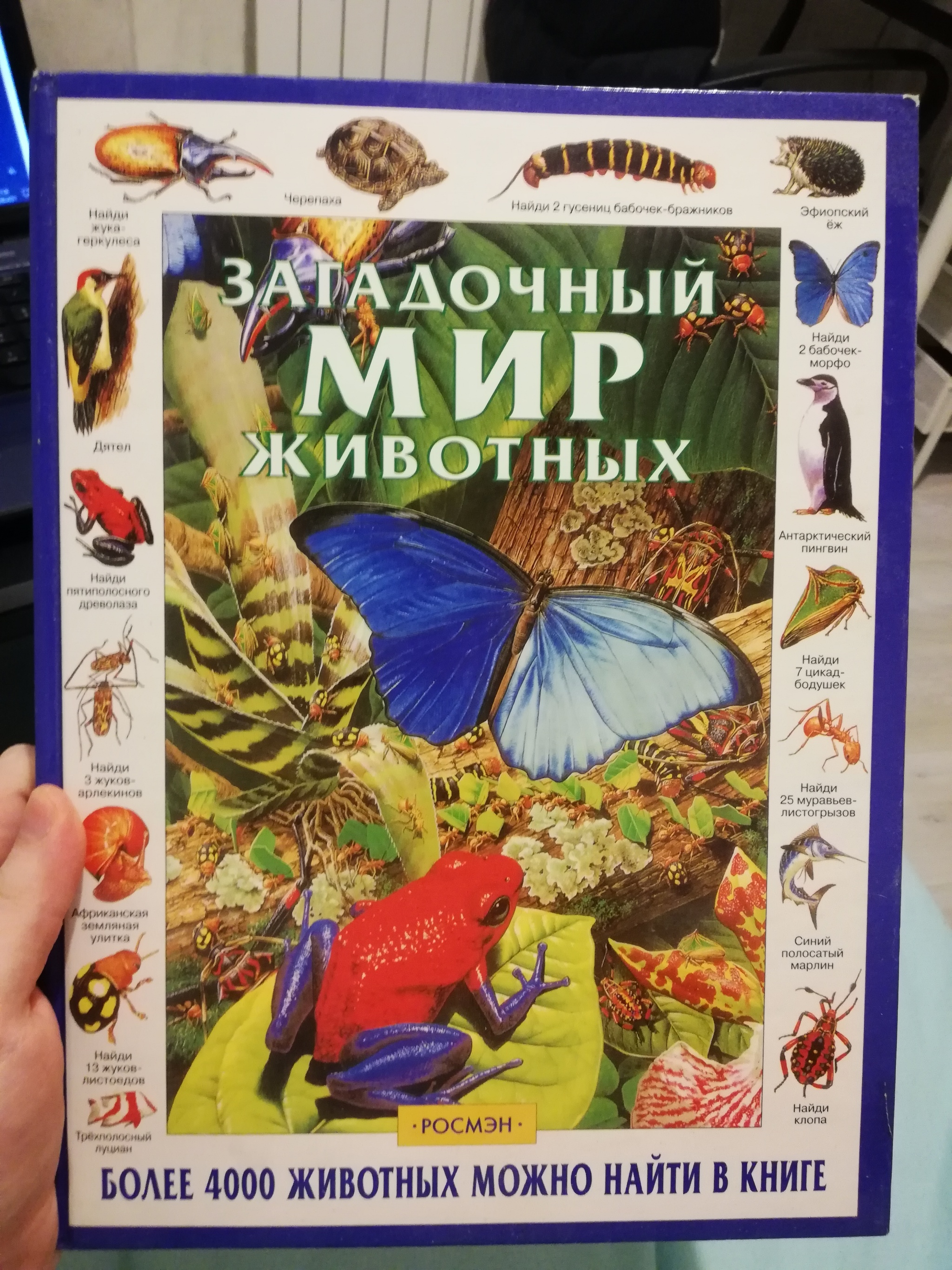 Ищу книгу-игру | Пикабу