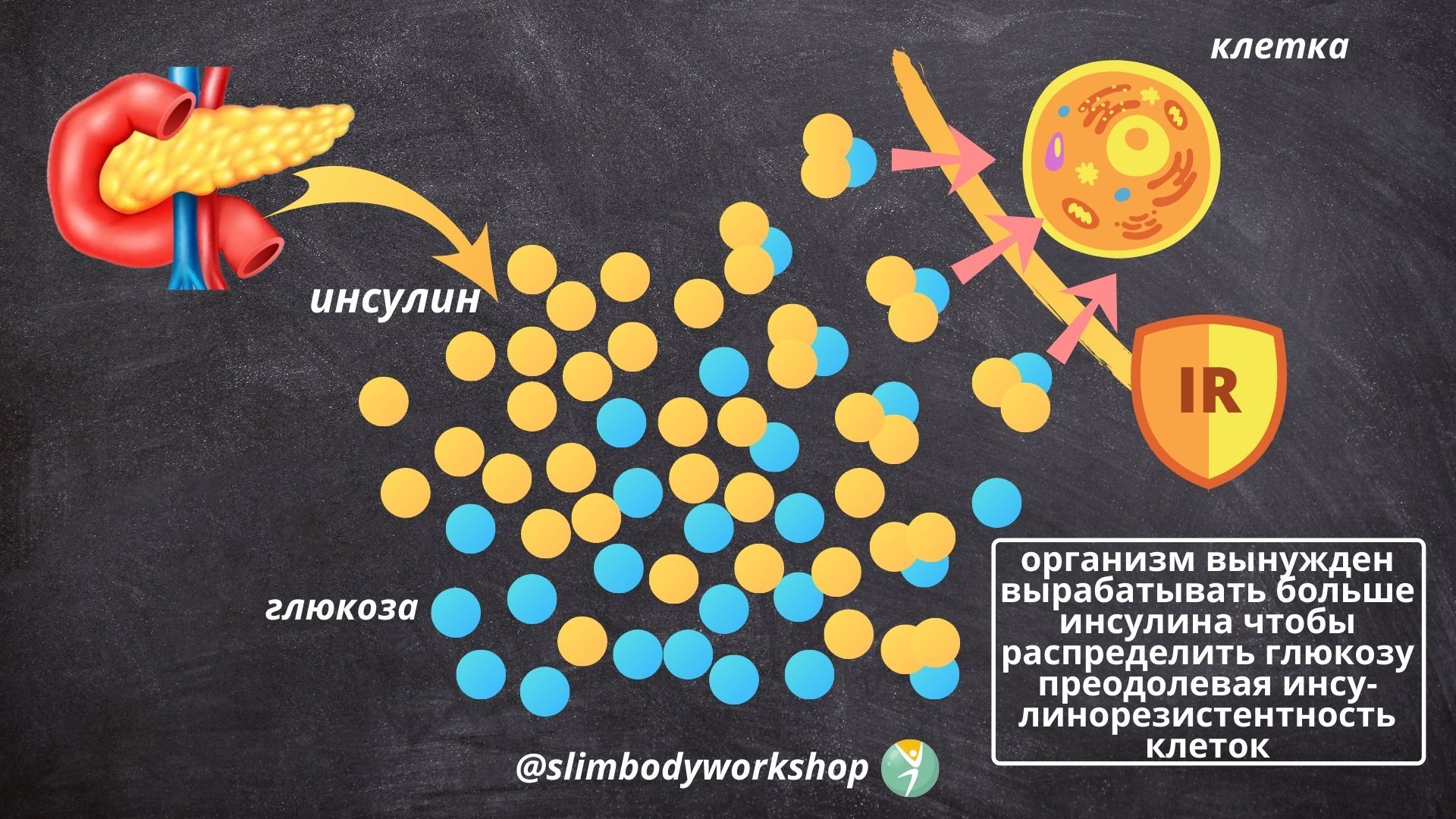 Инсулинорезистентность - 