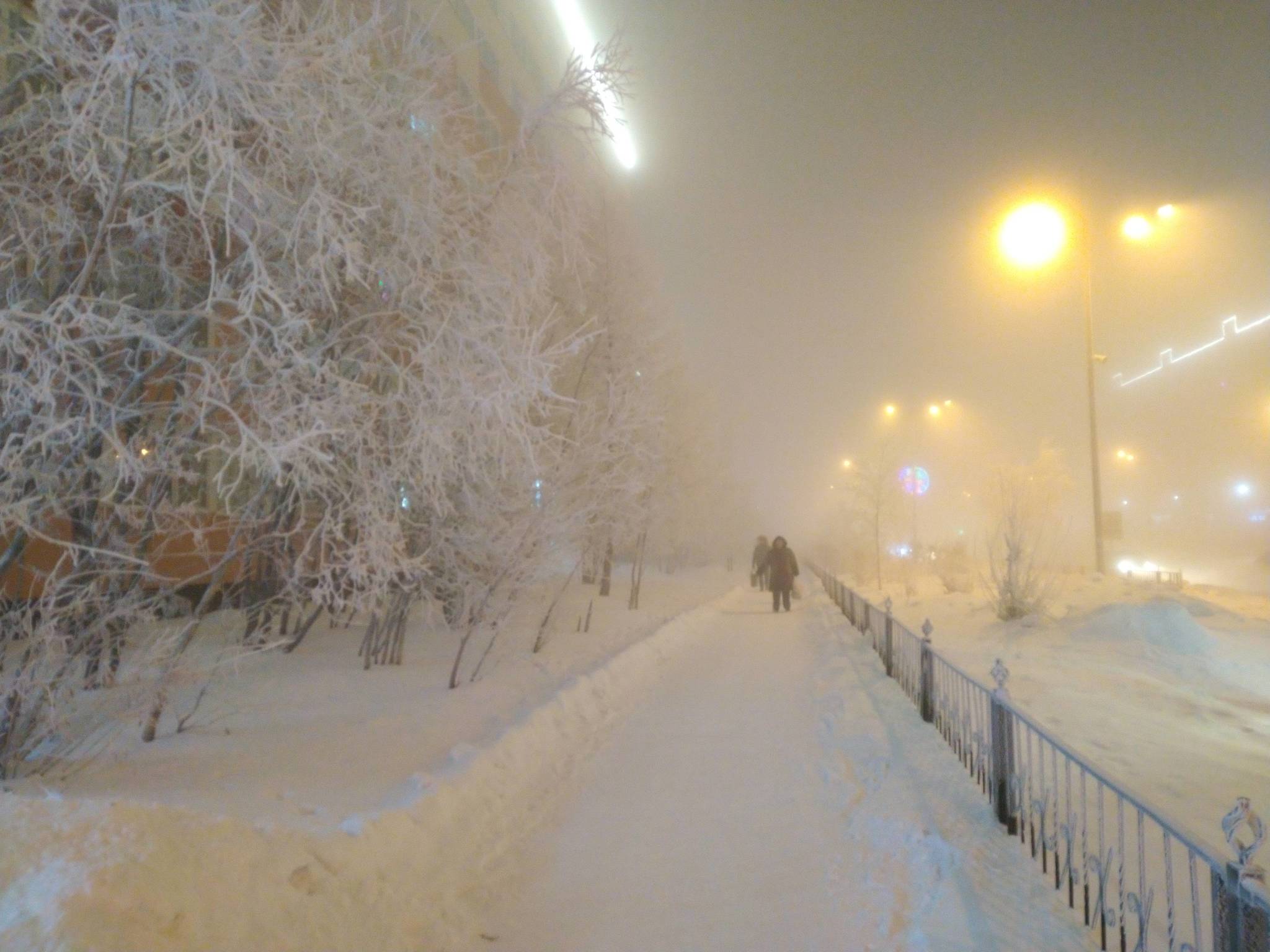 «❄️ очень сильный мороз, ветер и …» — создано в Шедевруме