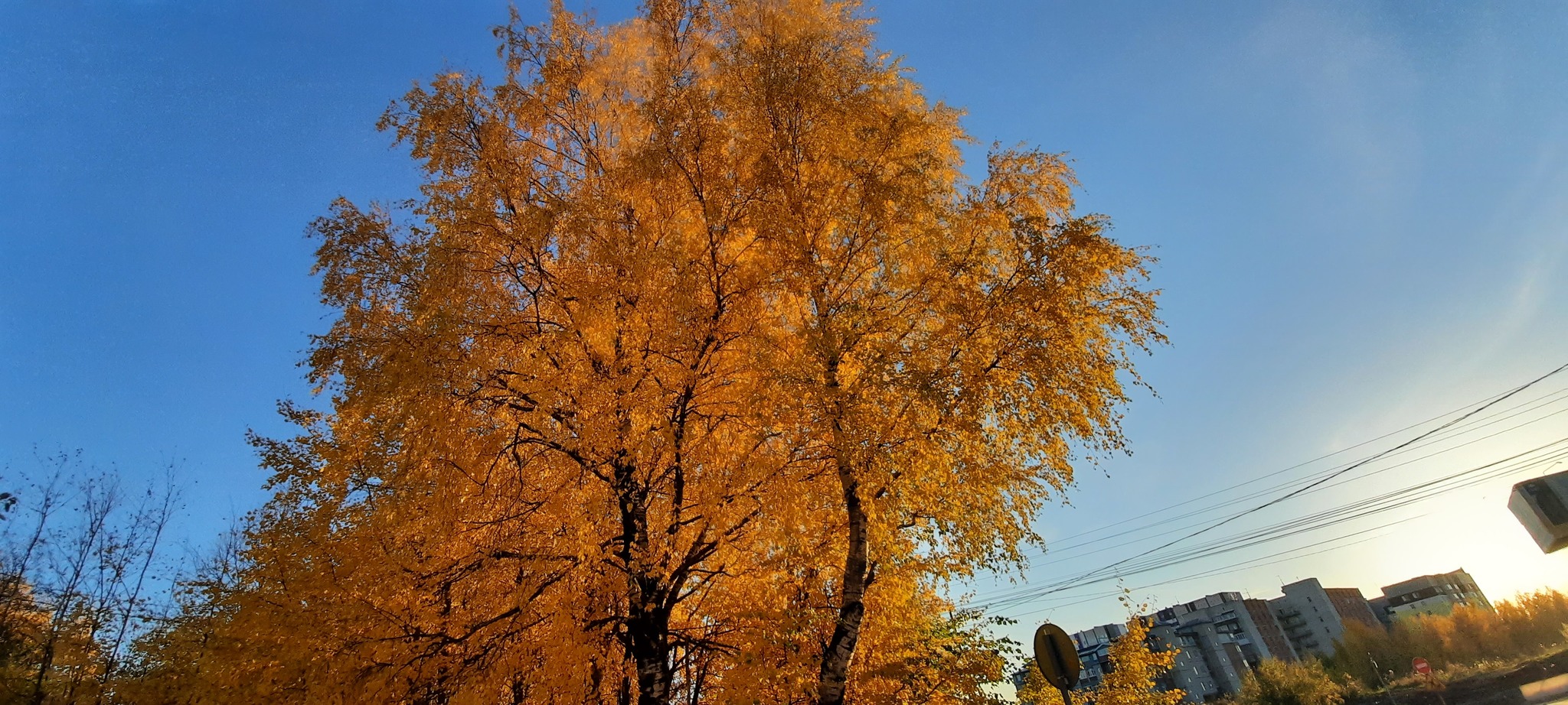 фотография эжвы осенью