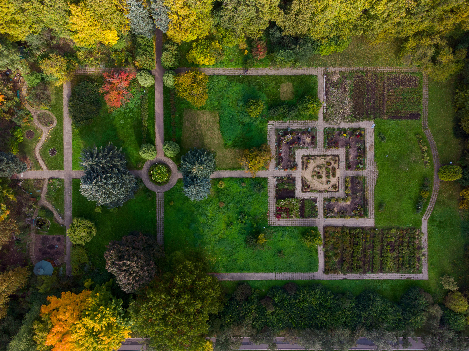 Ботсад МГУ - фрагменты | Пикабу