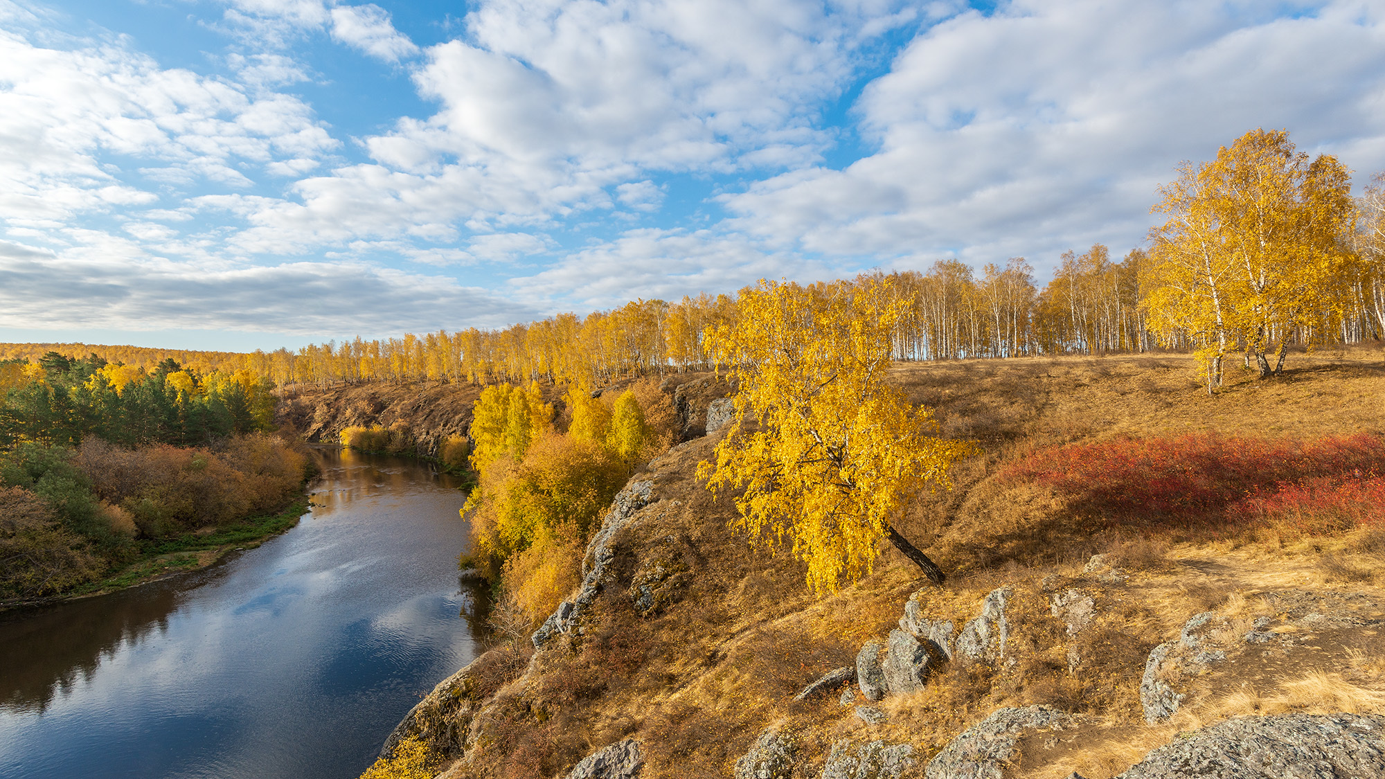 Новогорская осень