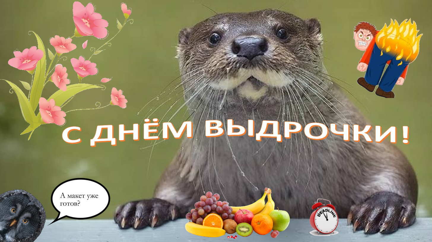 Otter birthday meme