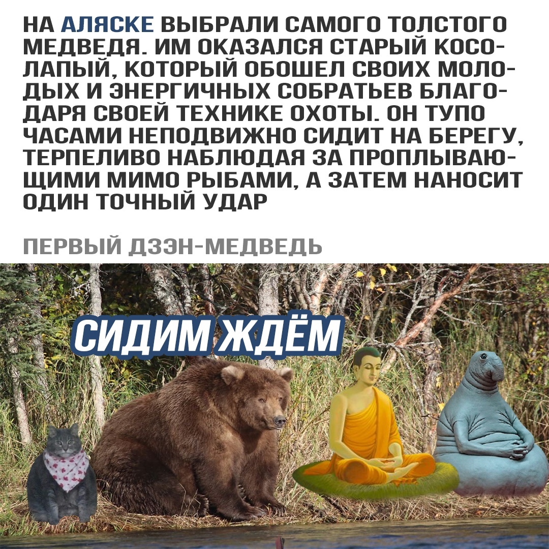 Ждун | Пикабу