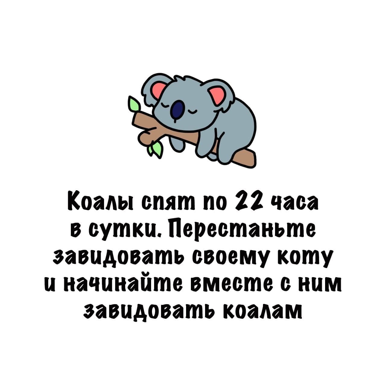 Картинки с текстом | Пикабу