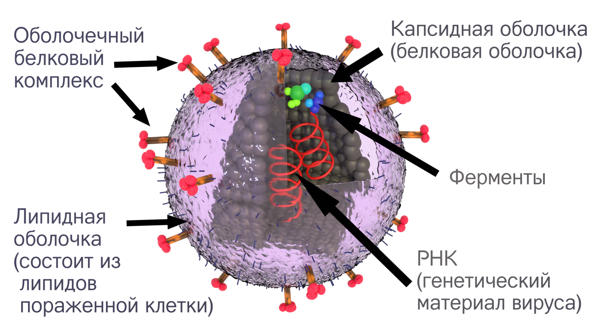 Гифка: истории из жизни, советы, новости, юмор и картинки — Все посты,  страница 5 | Пикабу