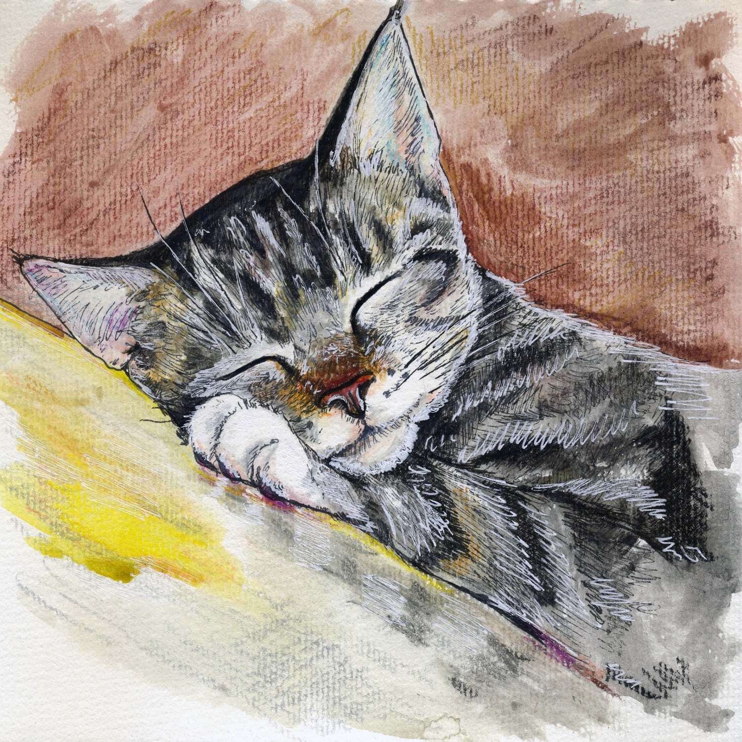 Спящий котик | Пикабу