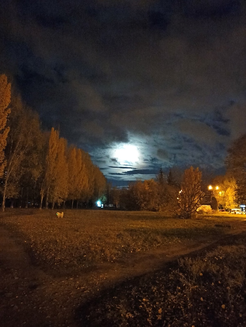 Лунная ночь — Маяковский. Полный текст стихотворения — Лунная ночь