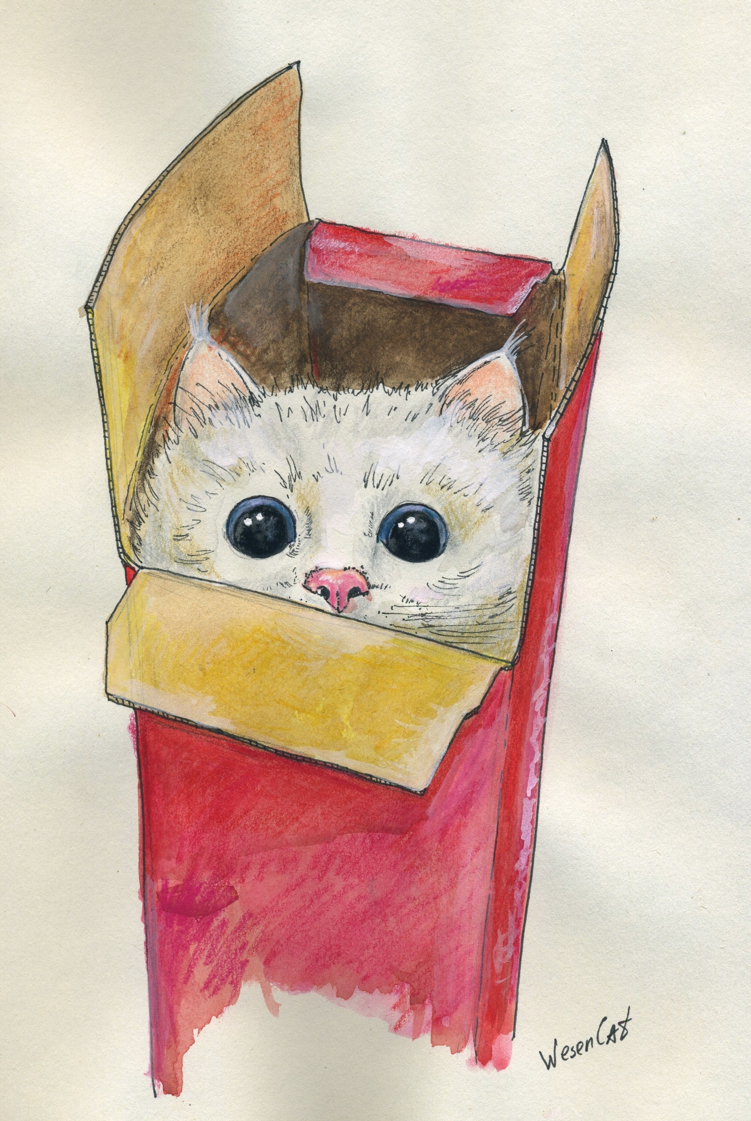 Рисунок кошки карандашом для срисовки 🖌 Рисунки карандашом поэтапно