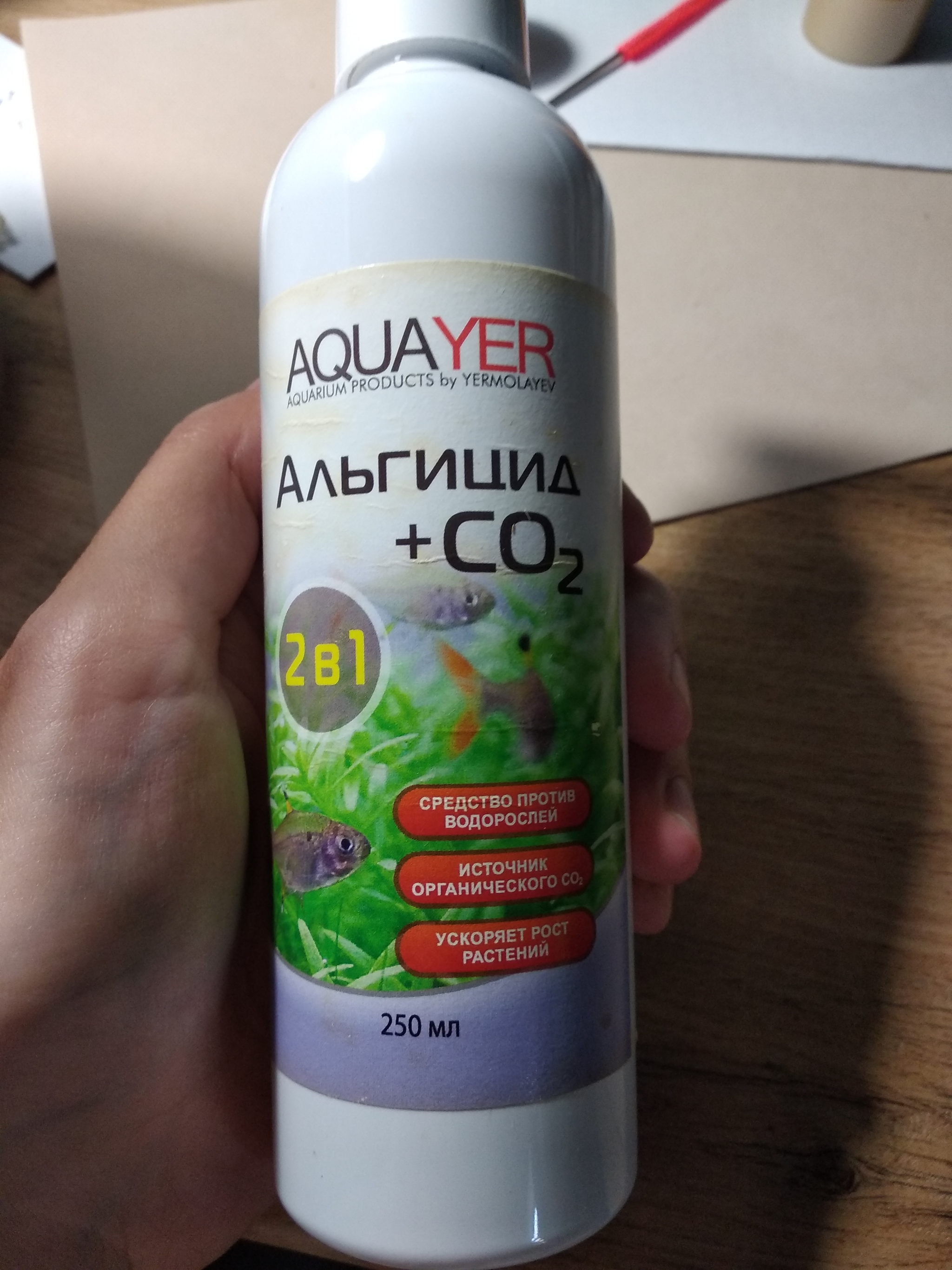 Эхинодорус в опасности | Пикабу