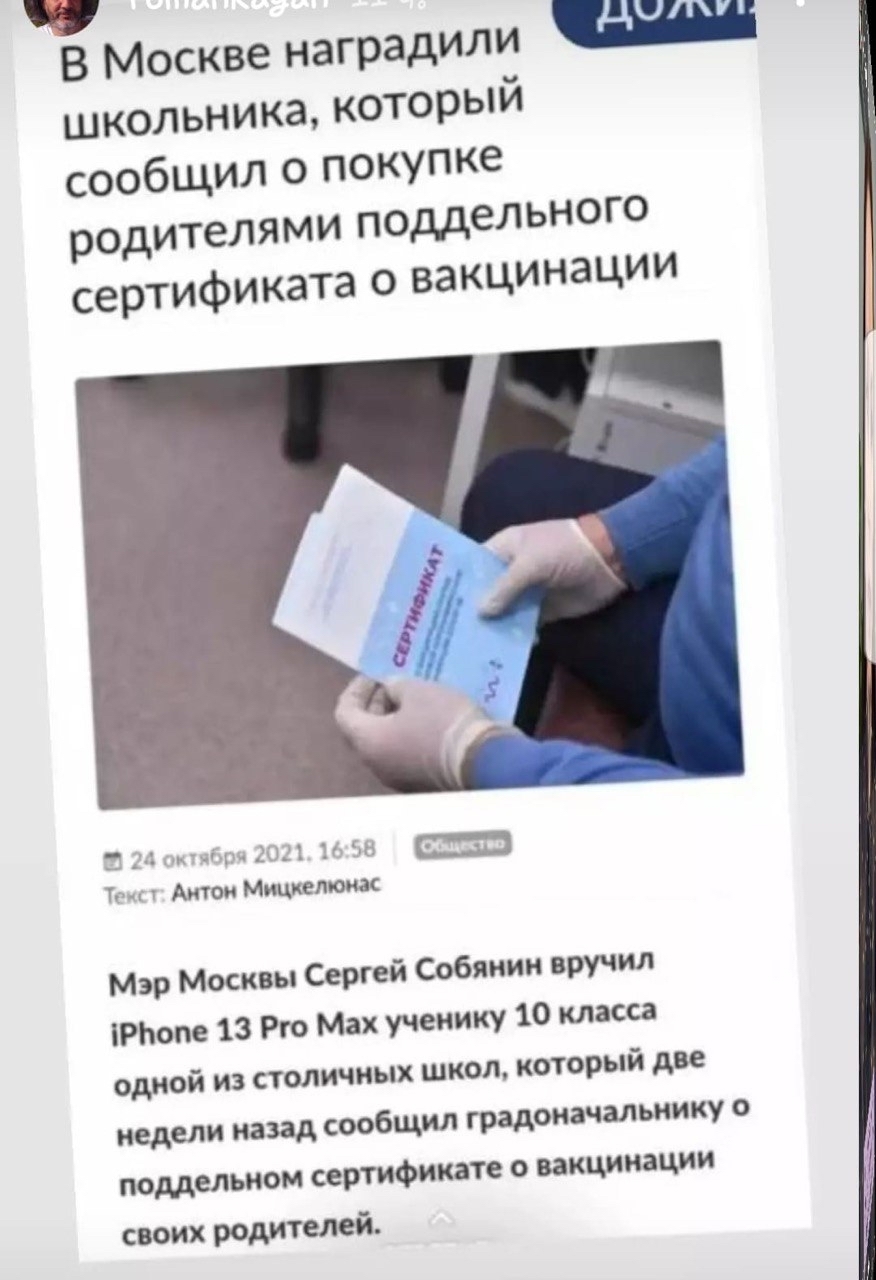 Пашка Морозов. Современная интерпретация | Пикабу