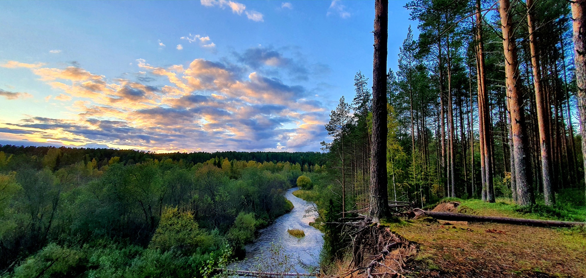 Фото пейзажей с лесом Вологодской области красивые