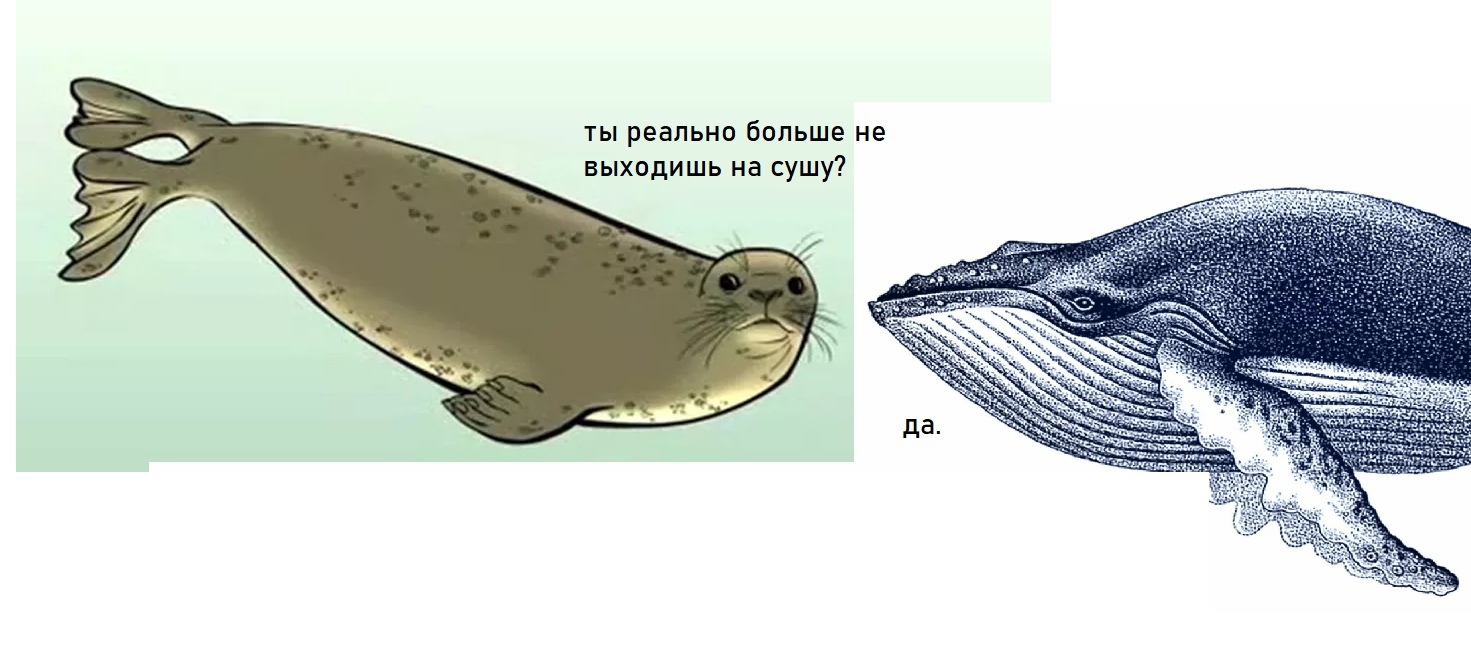 Конвергенция | Пикабу