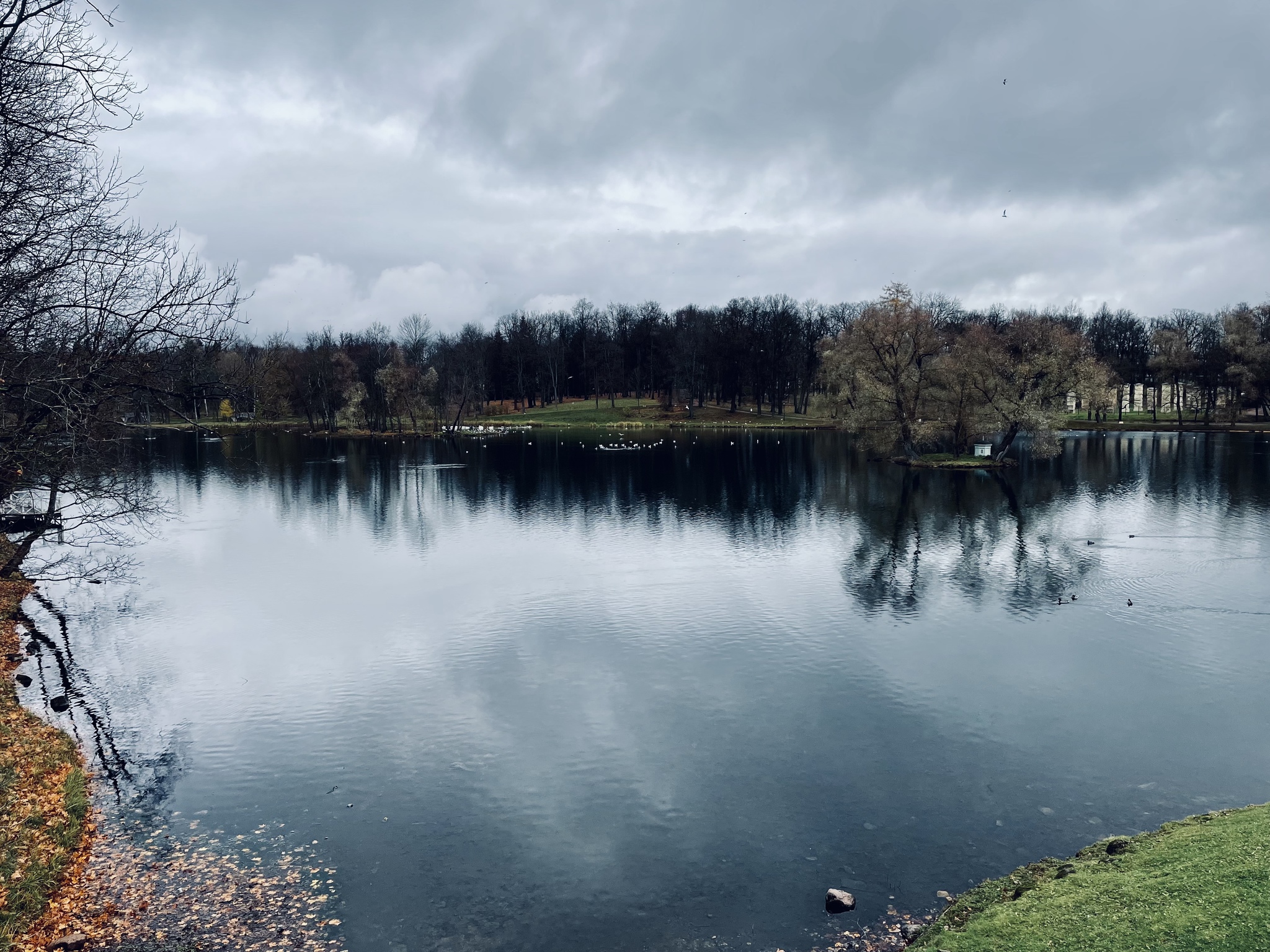 Осенняя Гатчина | Пикабу