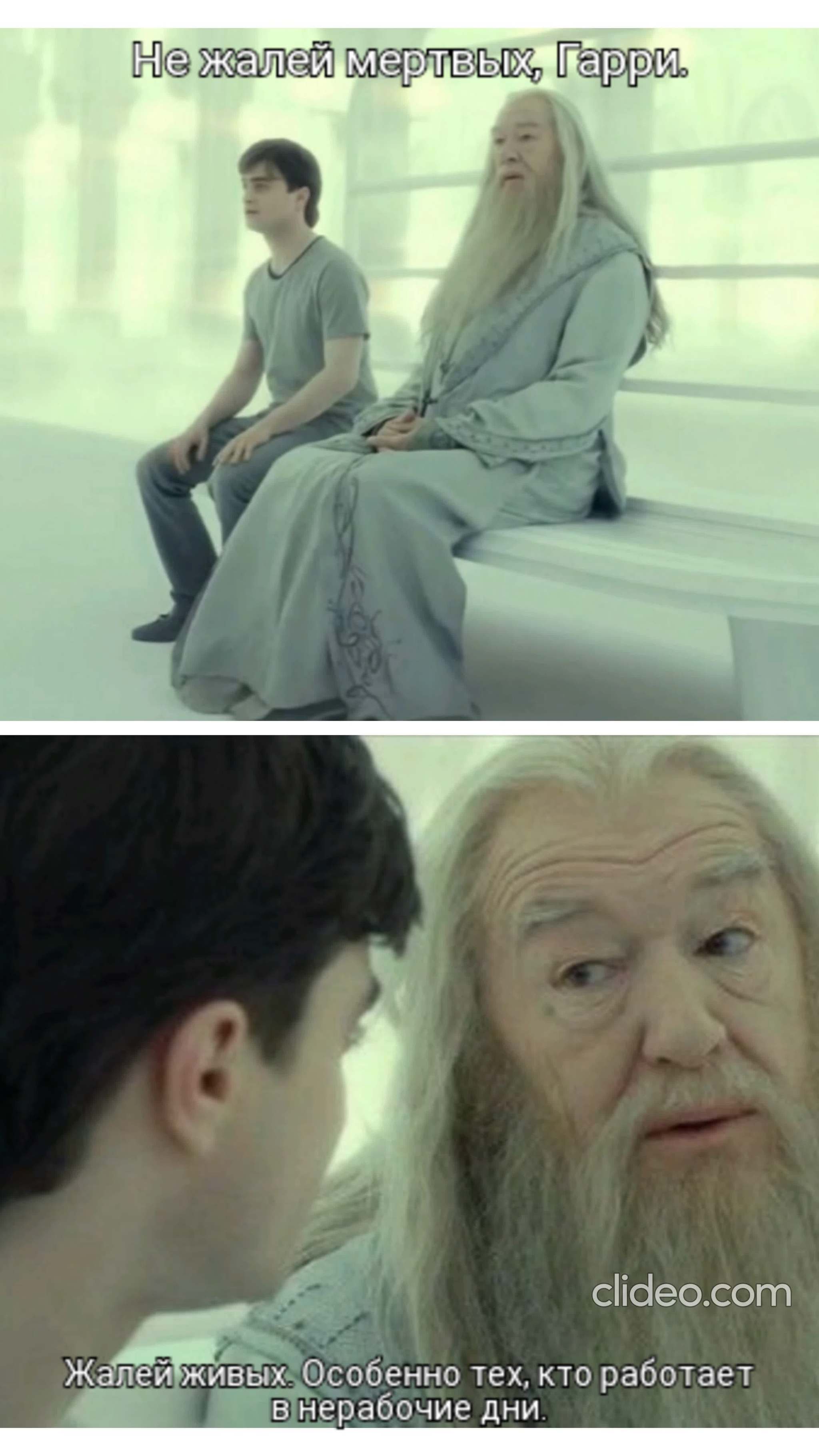 Не жалей мертвых жалей живых особенно тех. Не жалей мертвых жалей живых особенно тех кто живет без любви. Не жалей мертвых жалей живых. Не жалей мертвых гарри жалей живых особенно тех кто живет без любви. Не жалей мертвых жалей живых.