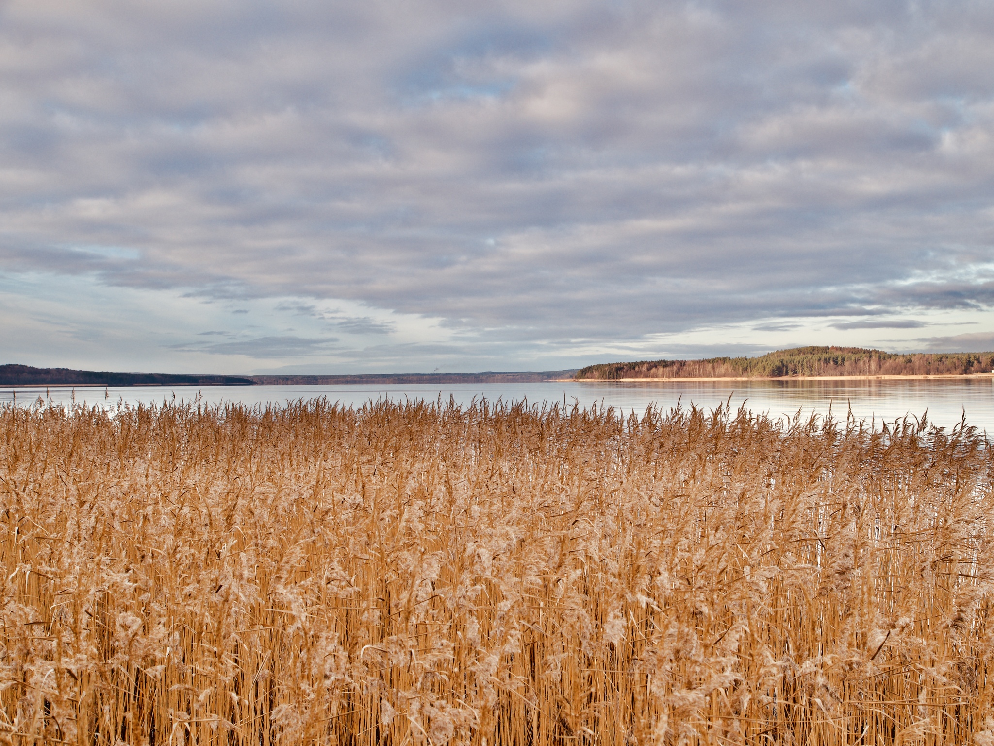 Суходольское озеро | Пикабу