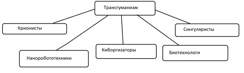 Нарисовать граф системы компьютер содержащий следующие вершины процессор оперативная память внешняя