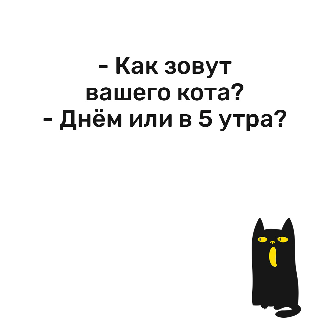 А как своего кота зовете вы? | Пикабу