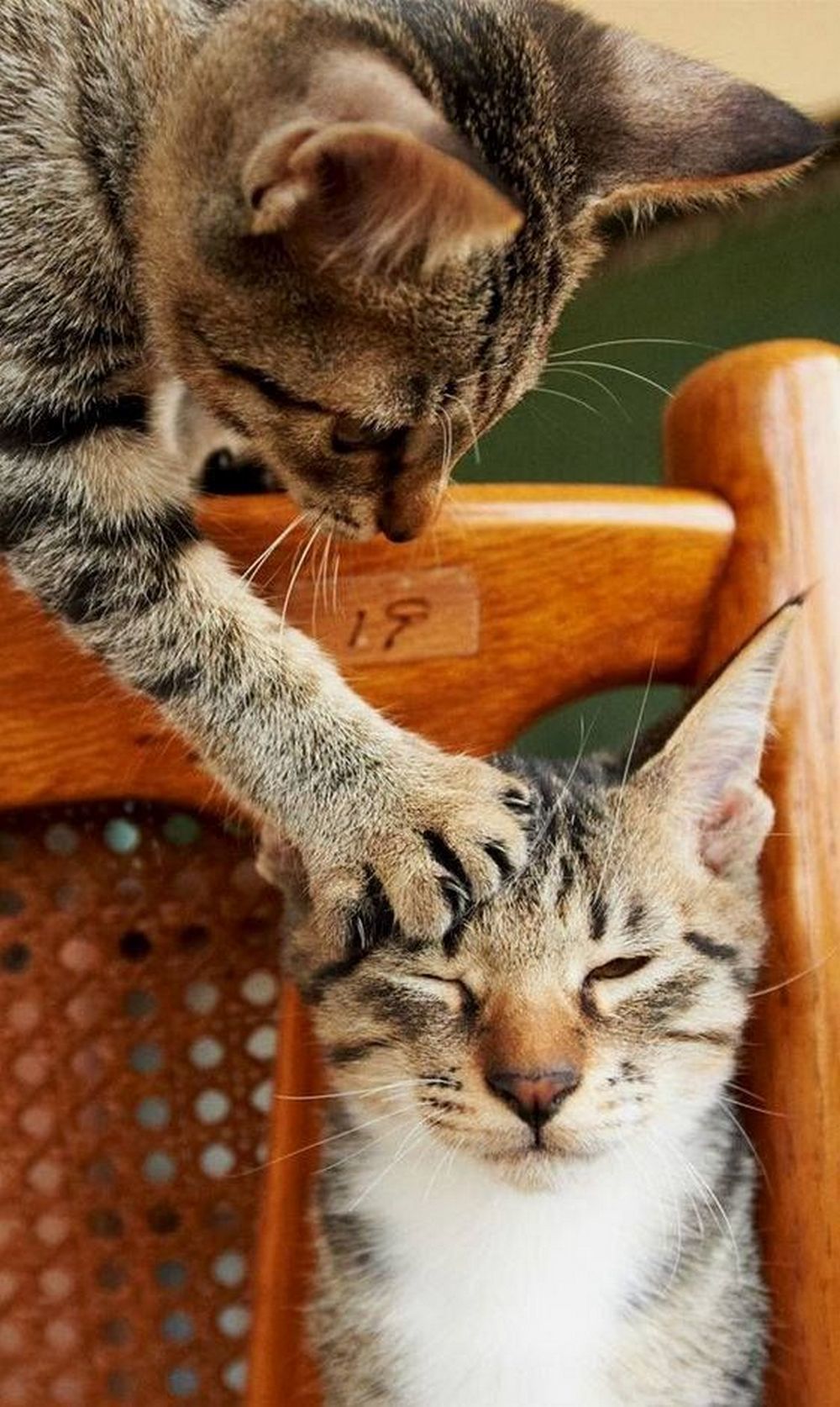 Спокойствие, только спокойствие... | Пикабу