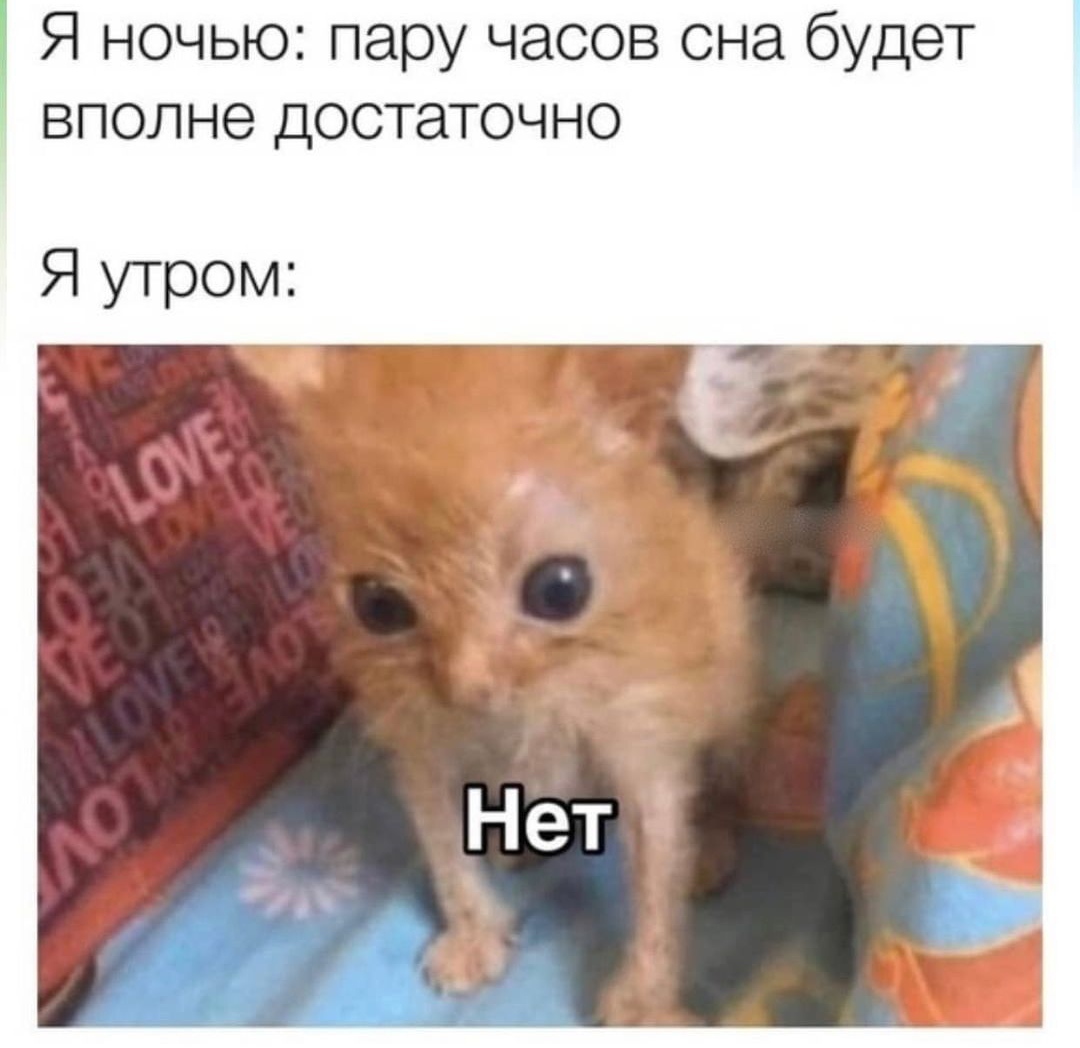 Сон | Пикабу