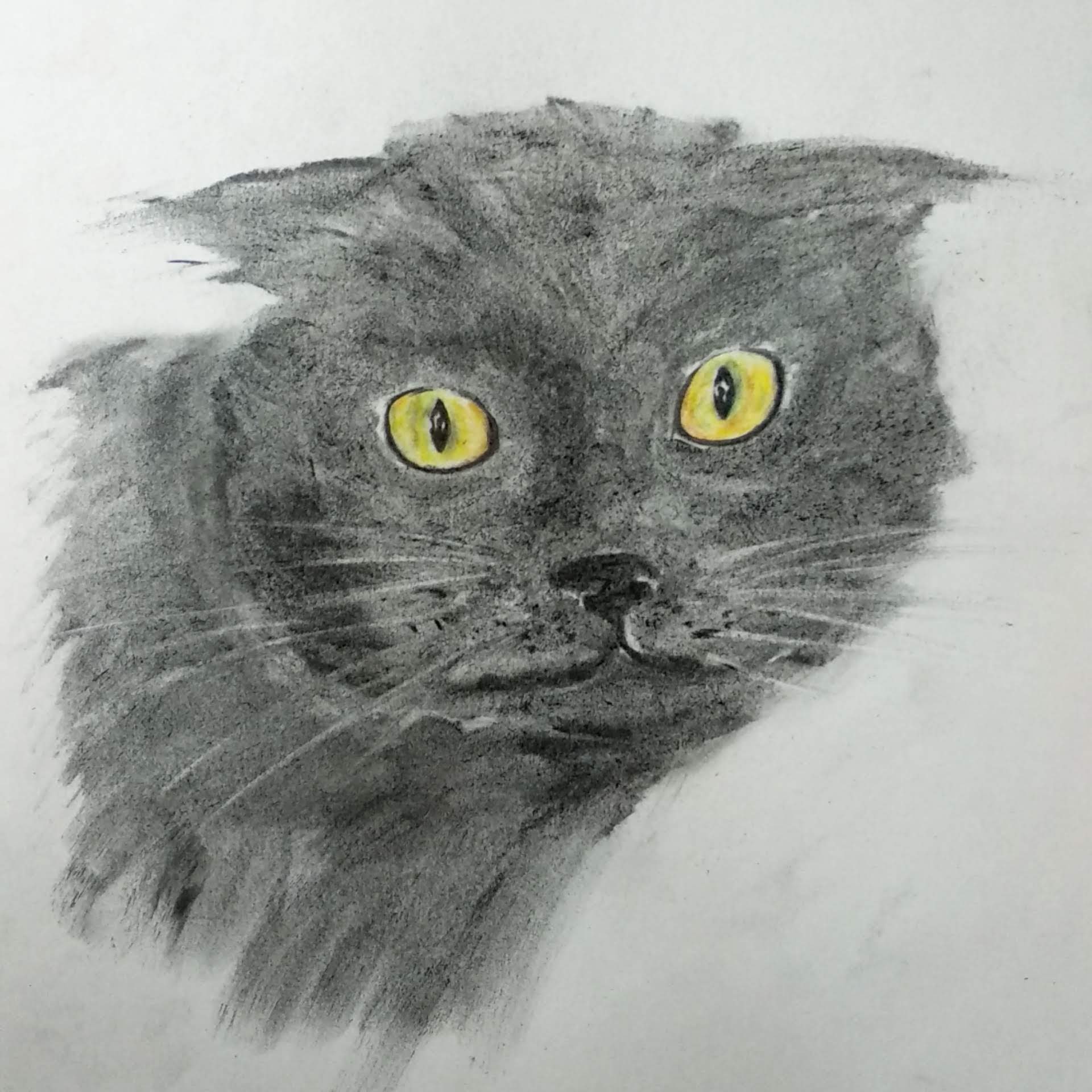 Рисование углем кот
