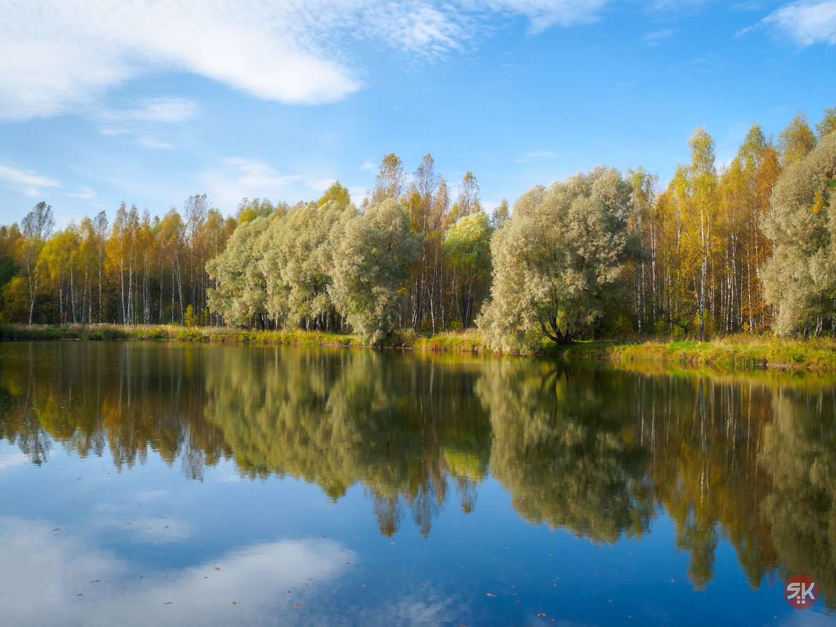 Дендропарк кострома карта