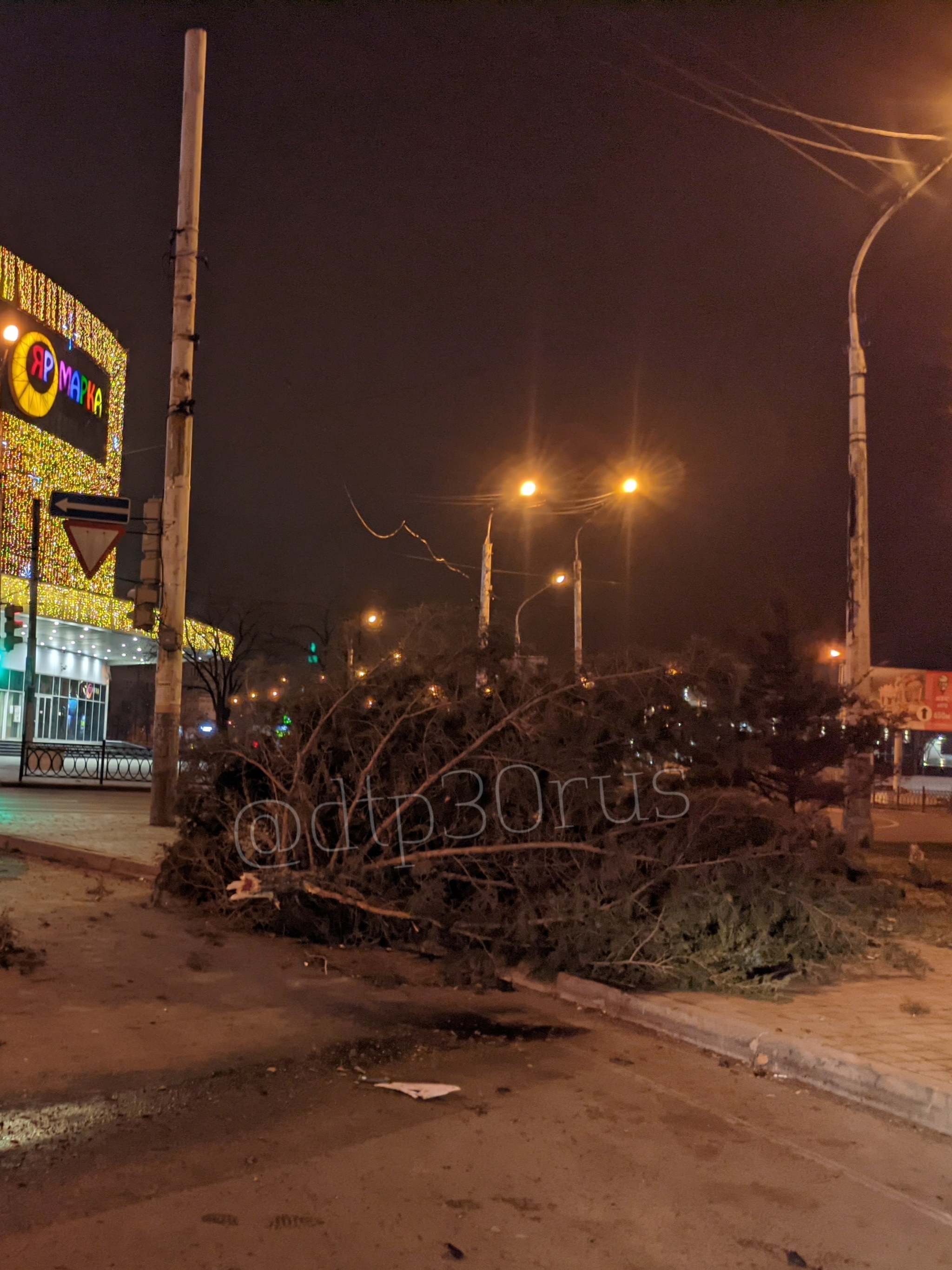 В Астрахани у ТЦ Ярмарка таксист снёс ель | Пикабу