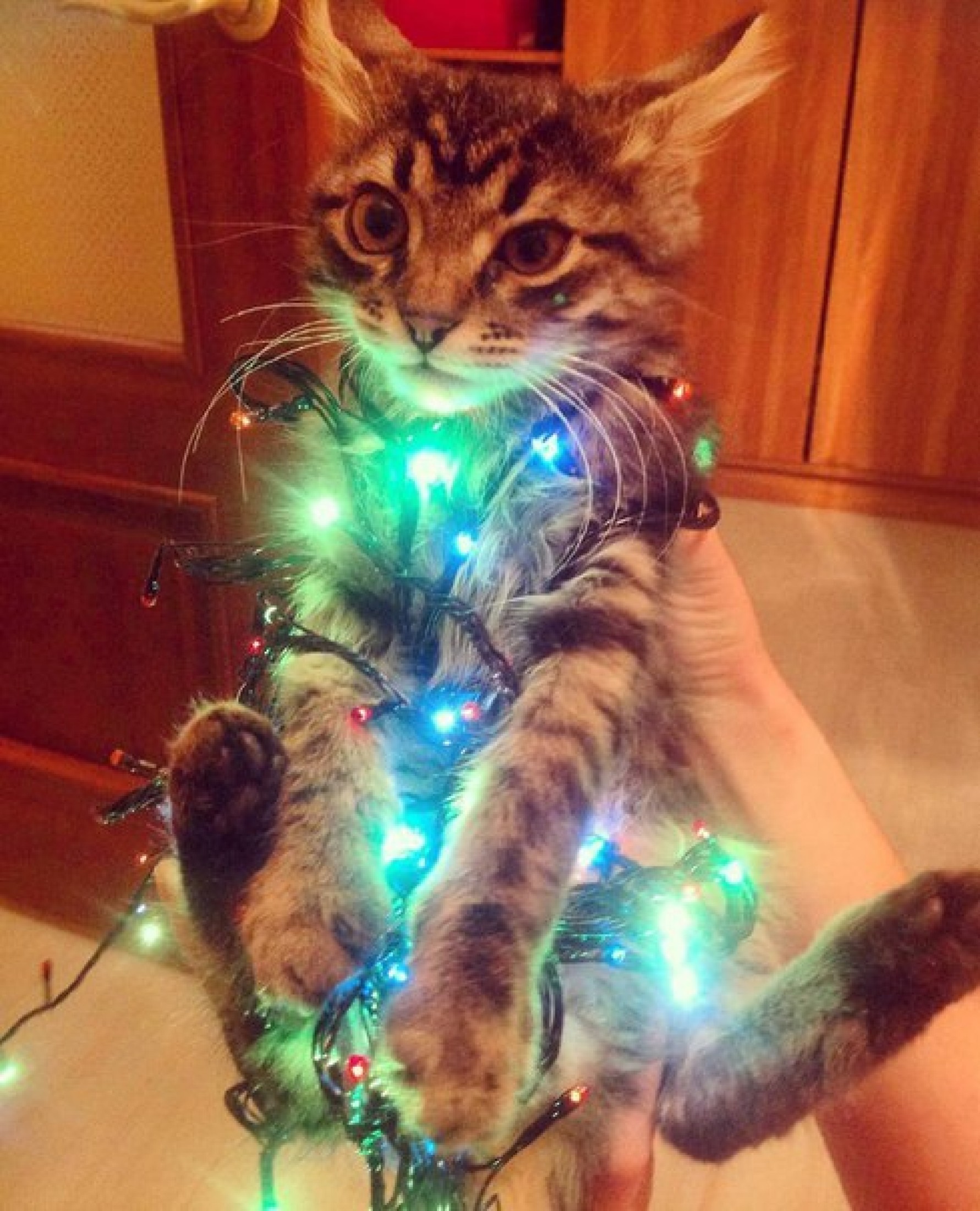 Скоро | Пикабу