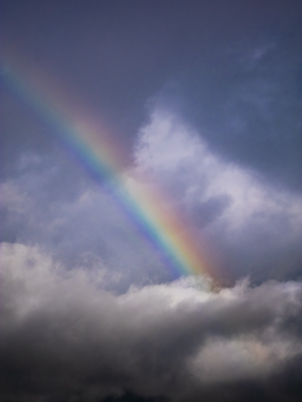 Rainbow | Пикабу